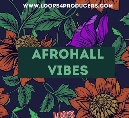 Loops 4 Producers AfroHall Vibes WAV MiDi